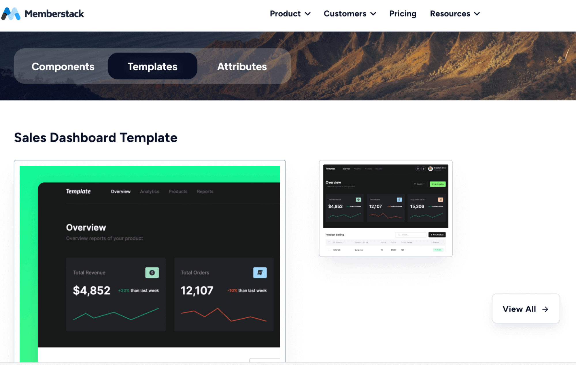 Screenshot Of Memberstack Website